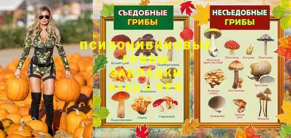 соль ск Балабаново