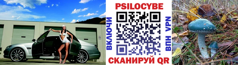 Галлюциногенные грибы Psilocybine cubensis  Балей 