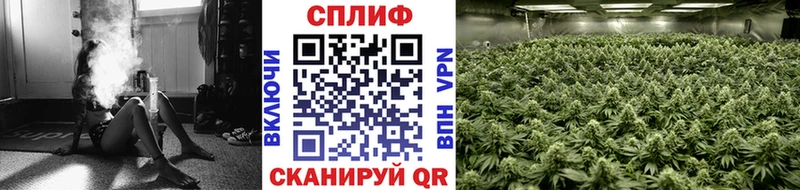 купить  цена  кракен рабочий сайт  сайты даркнета наркотические препараты  Балей  МАРИХУАНА THC 21% 